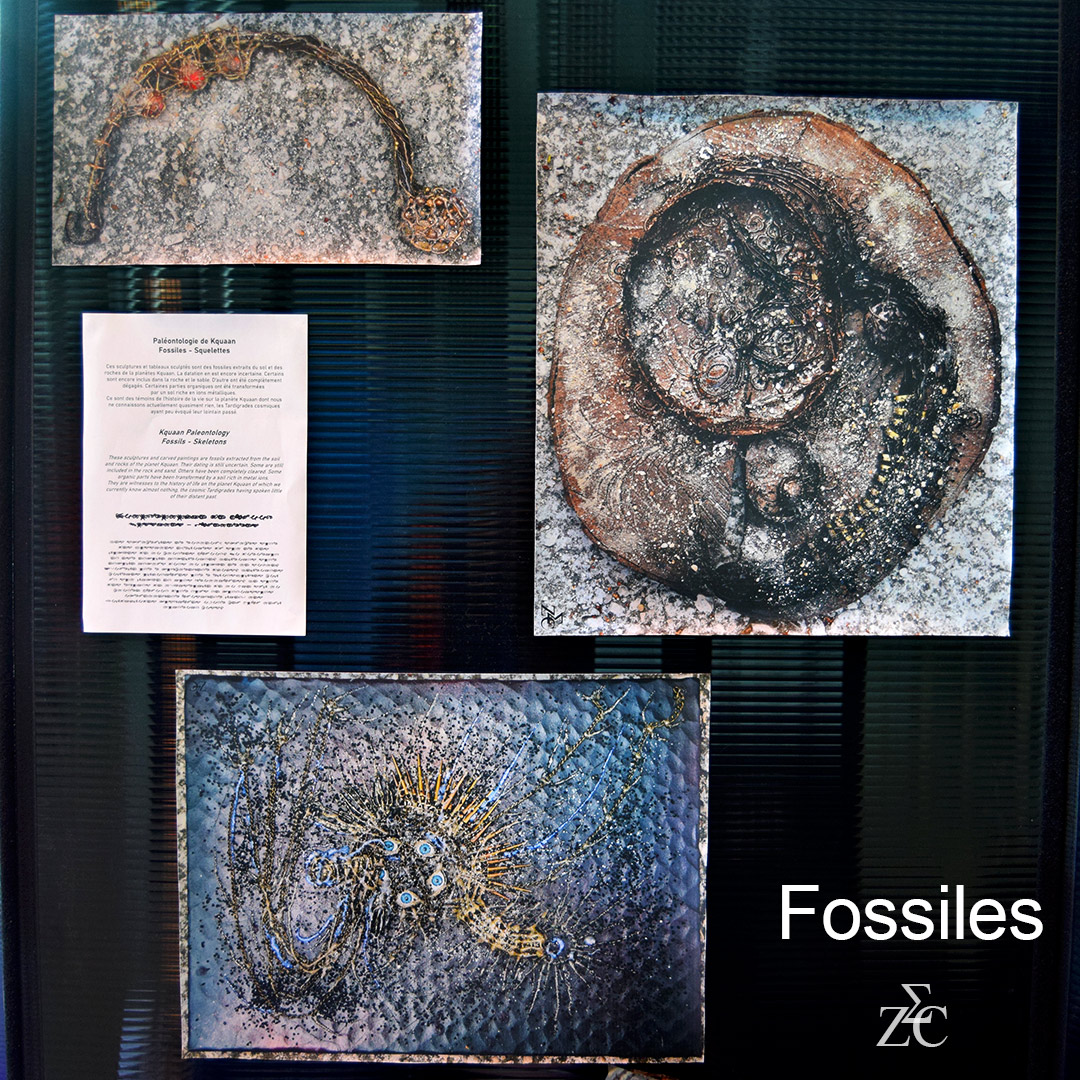 Fossiles, sculptures + tirages par Zandrine C