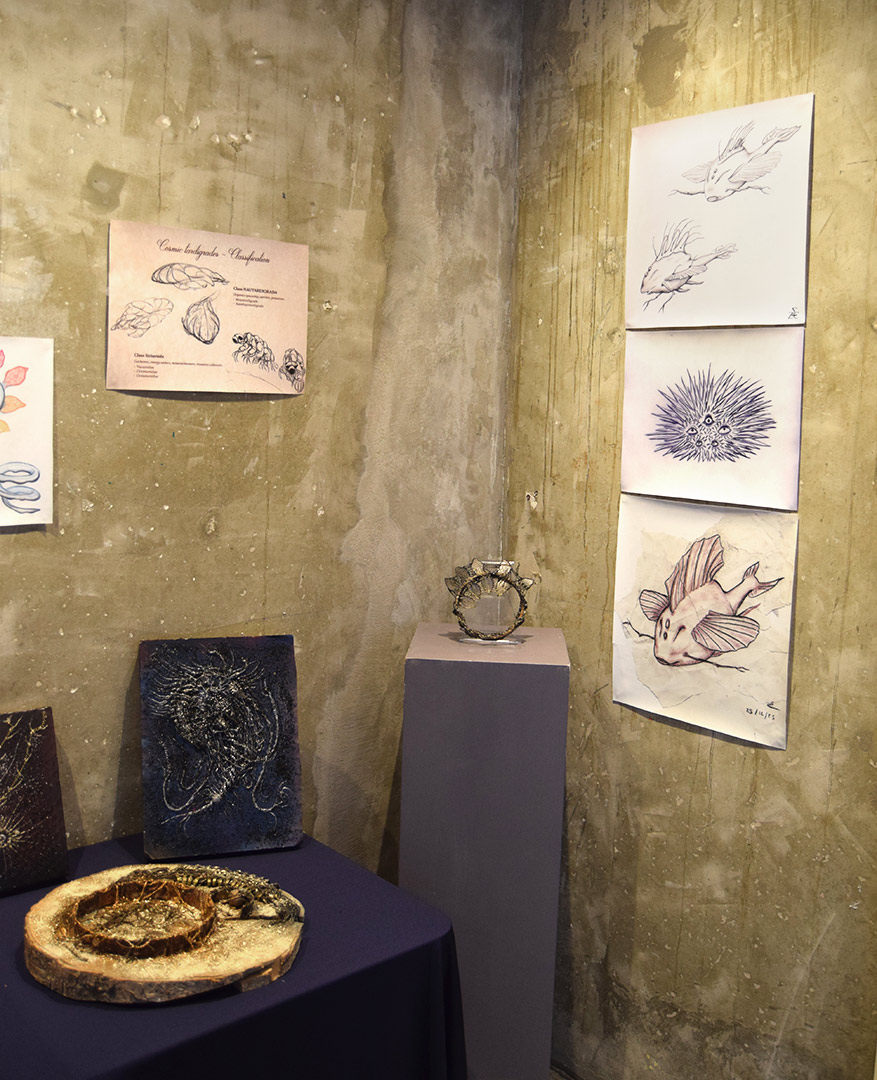 ZC - Fossiles, Classification, Animaux  par Zandrine C