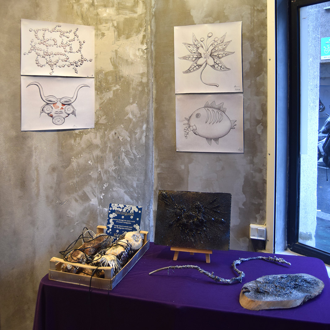 ZC - Fossiles, Ecouteurs de Cartographie, Animaux  par Zandrine C