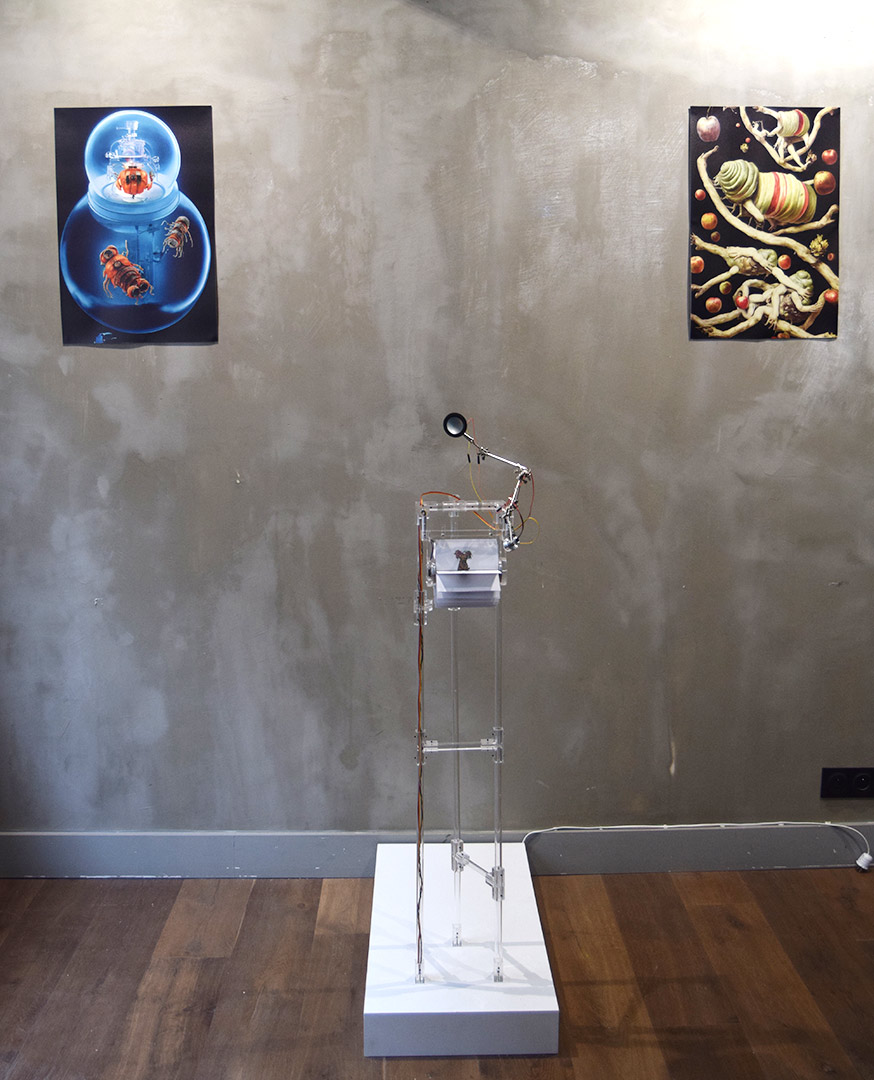 Kquaanians d'Alexandra Dementieva et Simple Pleasures d'Anna Frants par Zandrine C