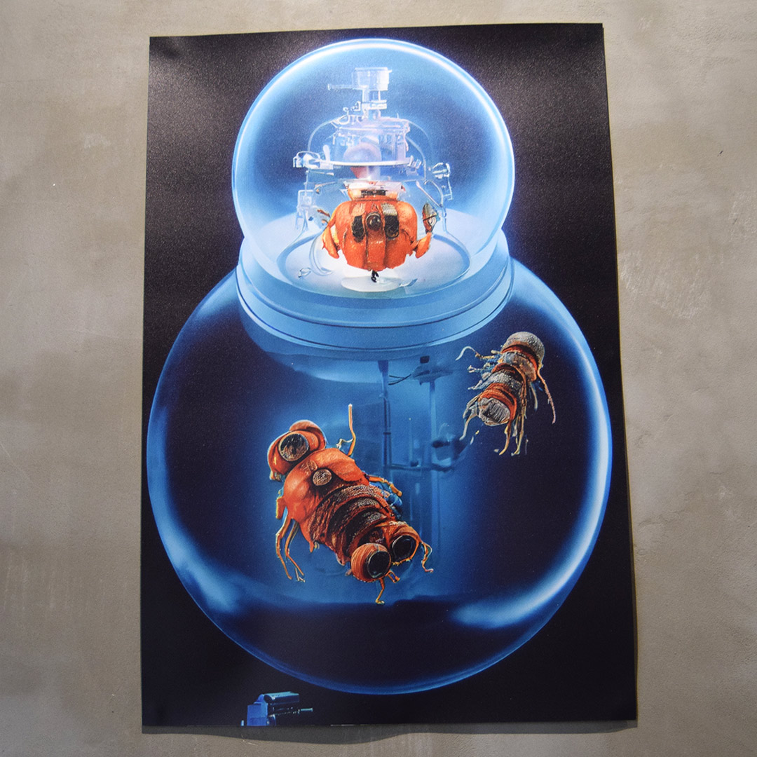 Kquaanians' Laboratory par Zandrine C