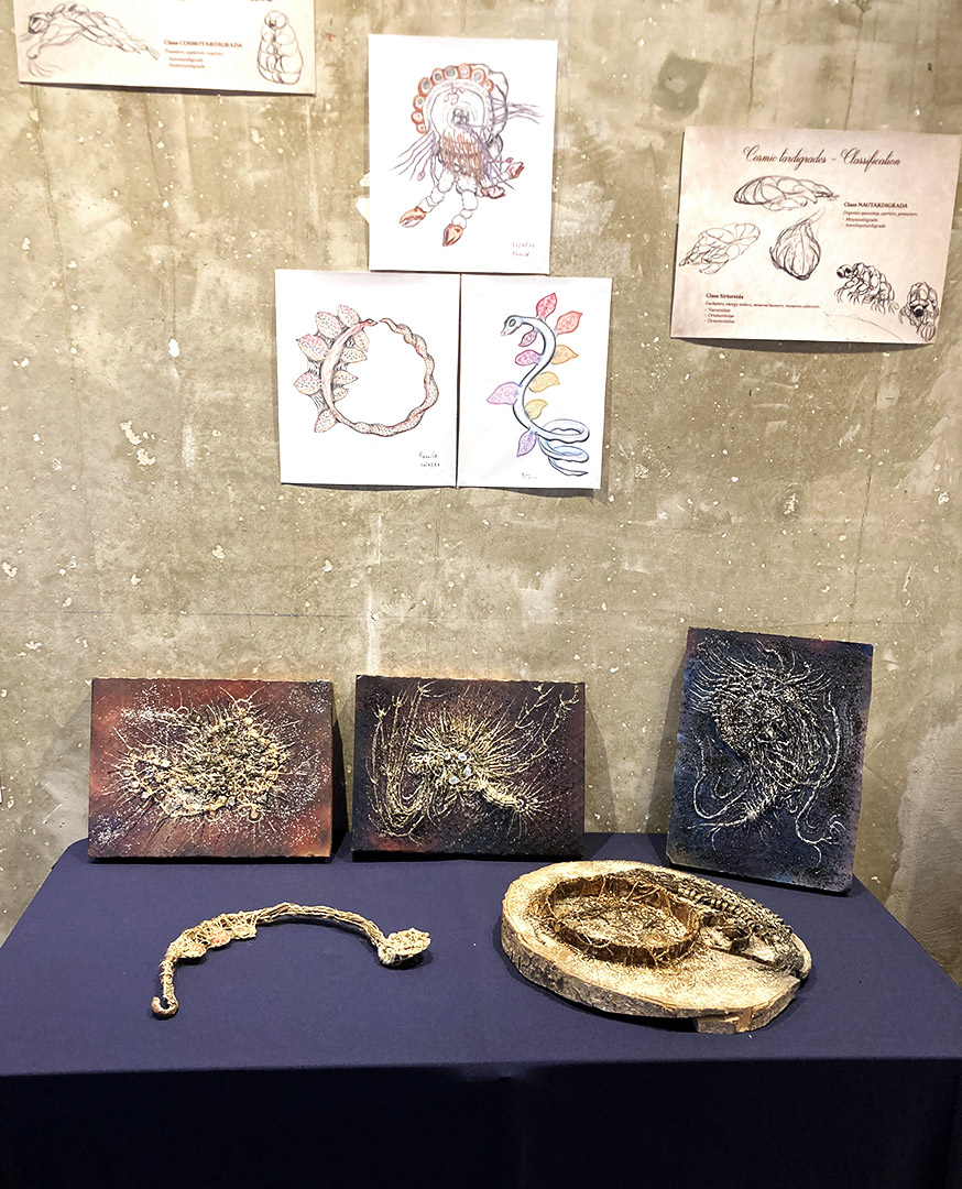 ZC - Fossiles, Animaux par Zandrine C