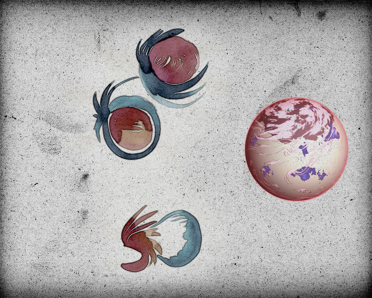 Extrakquaaniens par Zandrine C