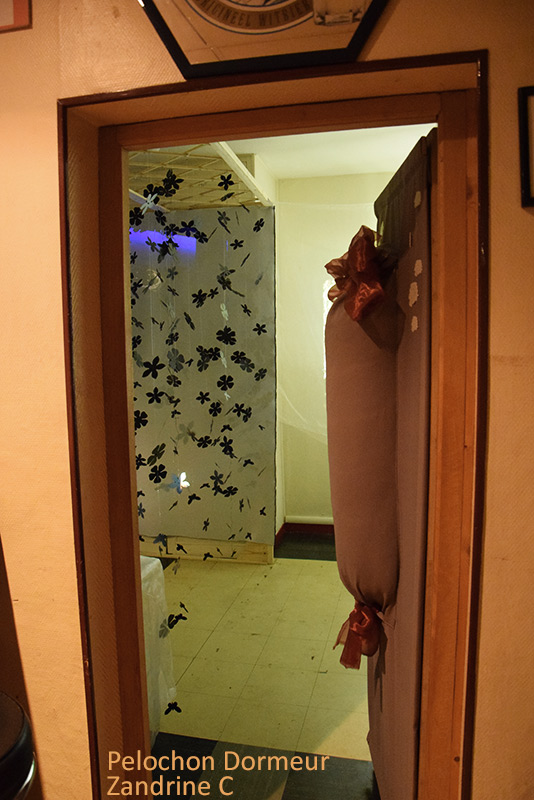 Zandrine C, pelochon interactif, porte ouverte