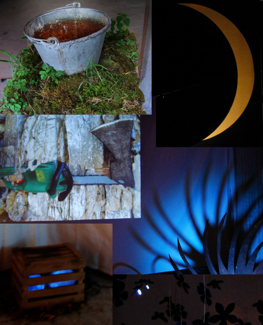 Exposition San Bernard 2009