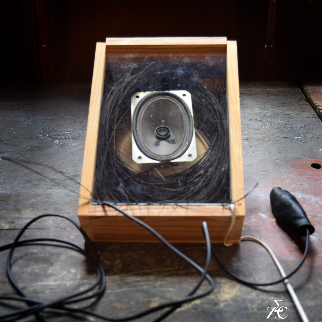 Bruits de Brosses par Zandrine C