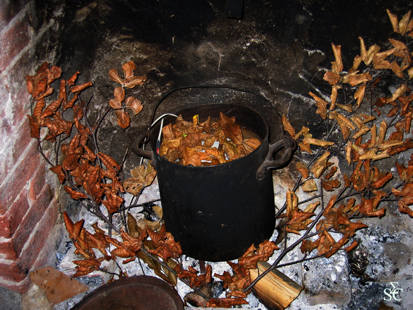 Le Chaudron par Zandrine C