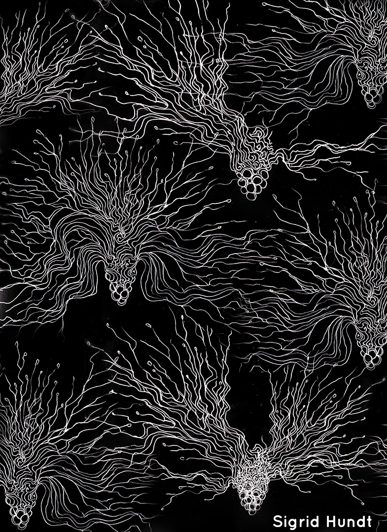 Extrakquaaniens futurs par Zandrine C