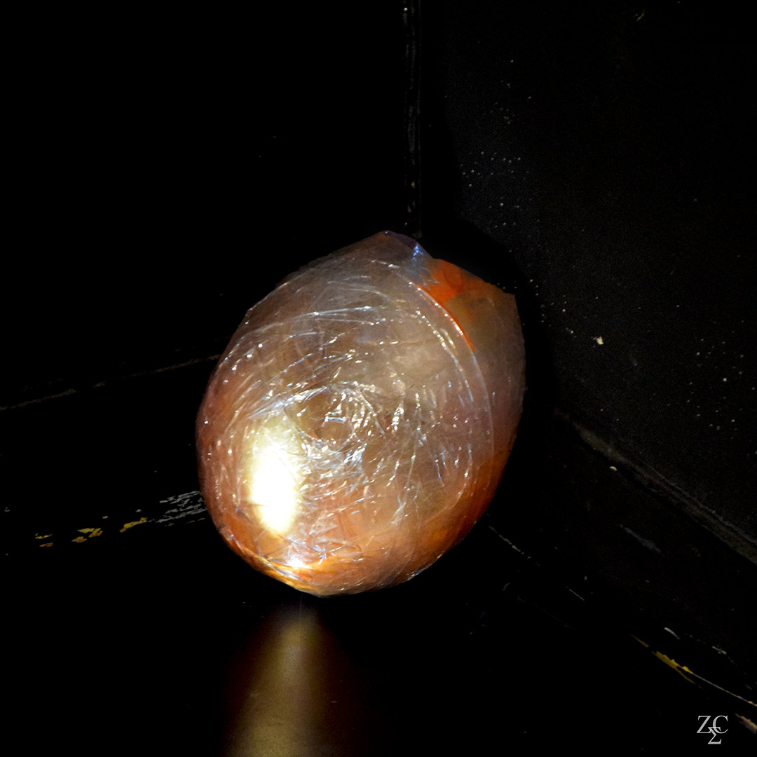 Oeufs de Dragon par Zandrine C