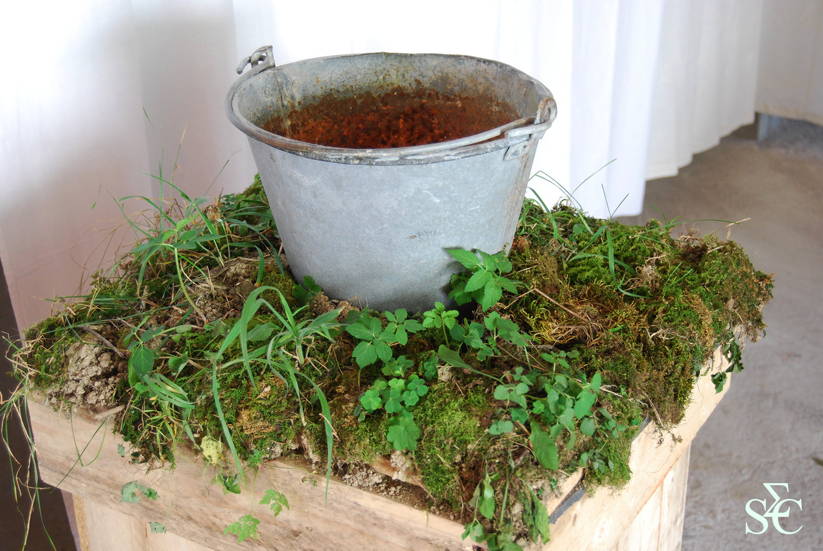 Le puits aux souvenirs par Zandrine C