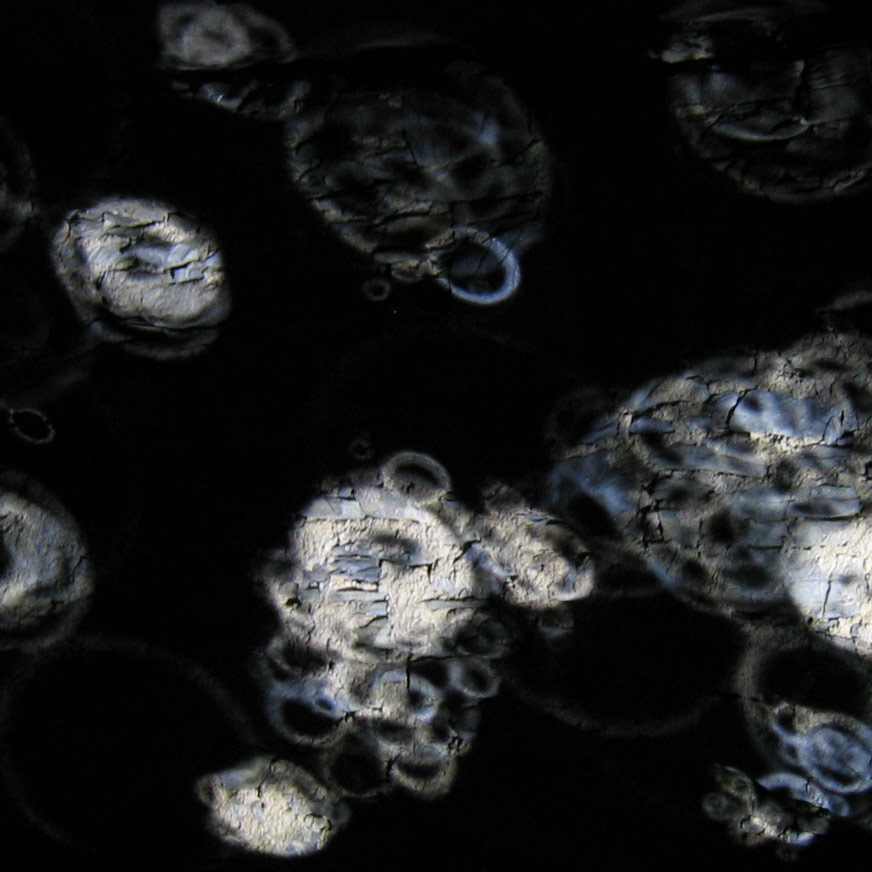 Traces de Pluie par Zandrine C