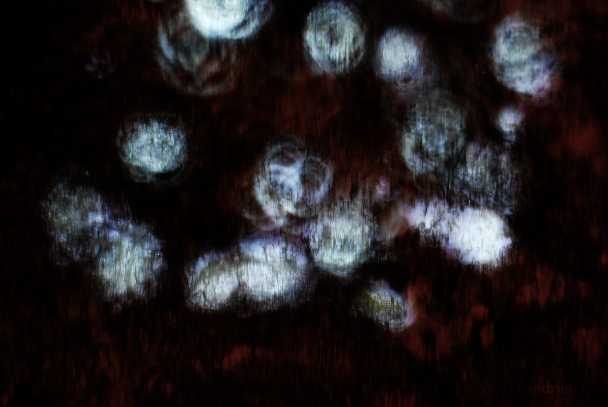 Projection à Roaschia par Zandrine C