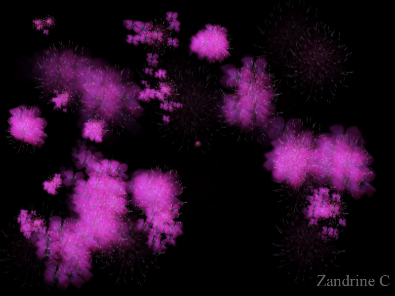 Animation, monnaie du pape par Zandrine C