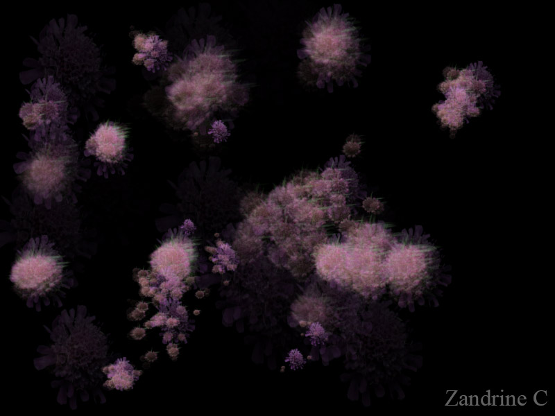 Animation, trèfle par Zandrine C