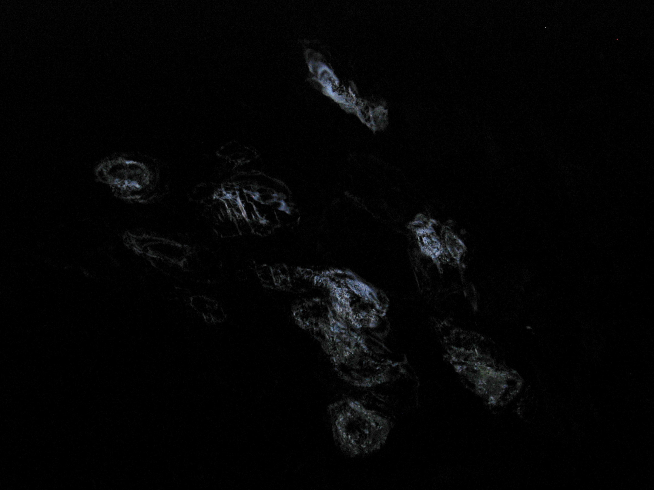 Projection à Roaschia par Zandrine C