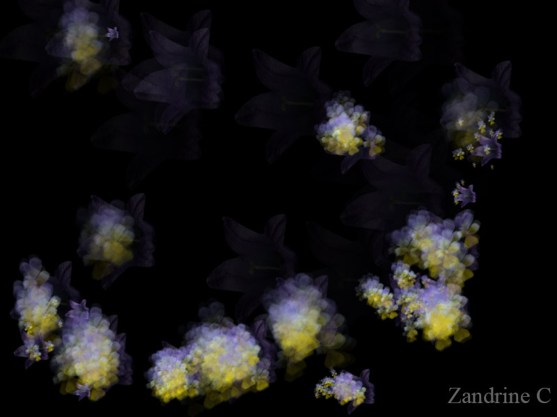 Traces de Pluie par Zandrine C