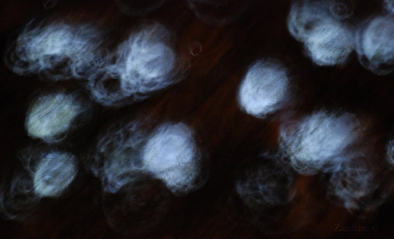 Projection à Roaschia par Zandrine C