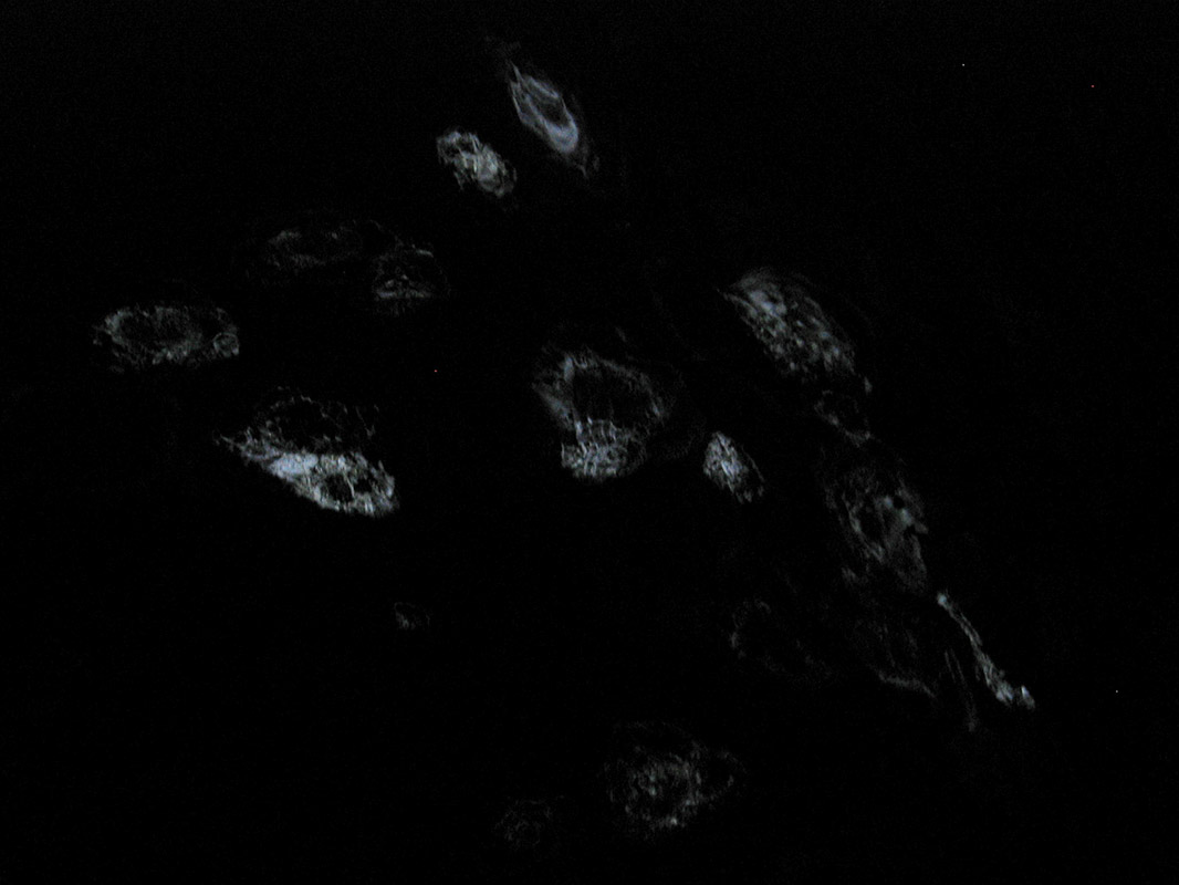 Projection à Roaschia par Zandrine C