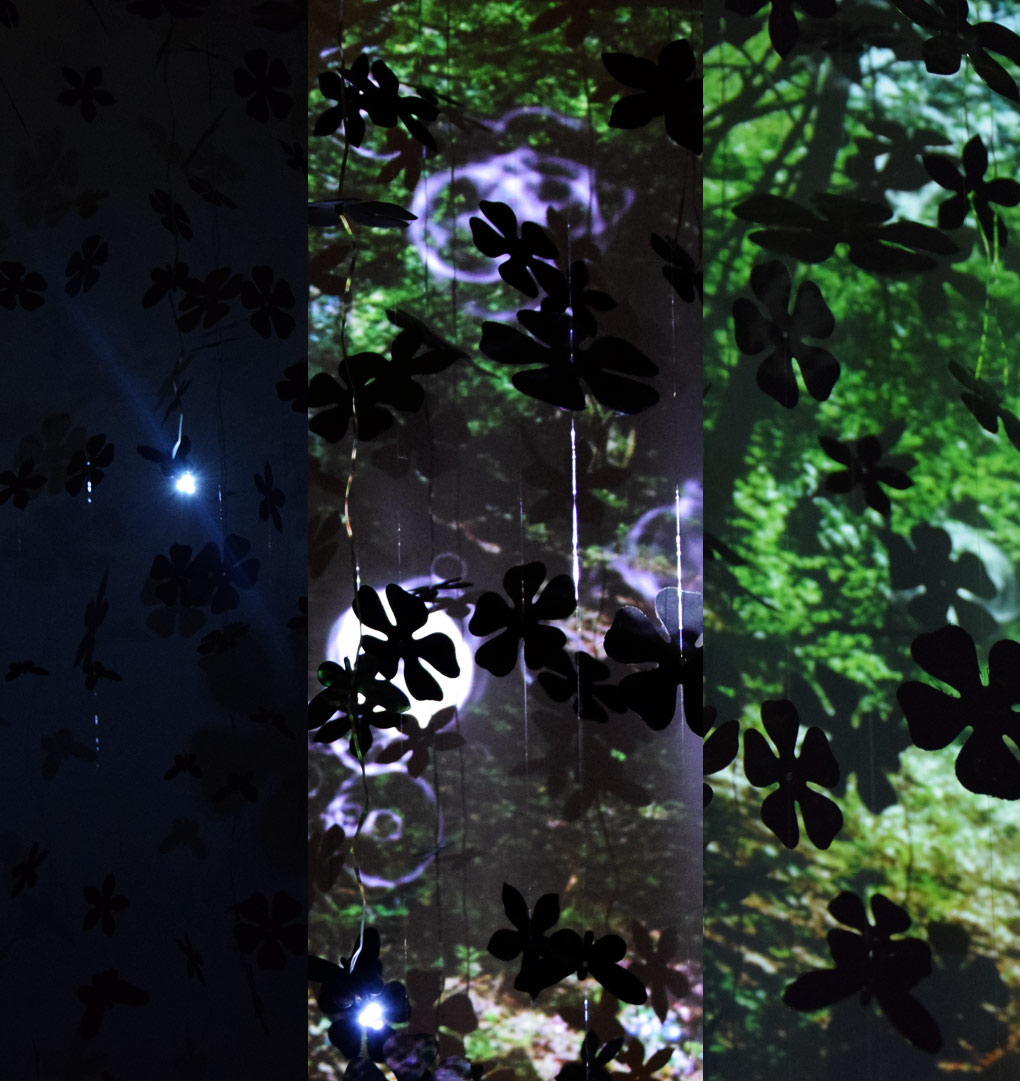 Une Promenade sur le Chemin des Regrets par Zandrine C