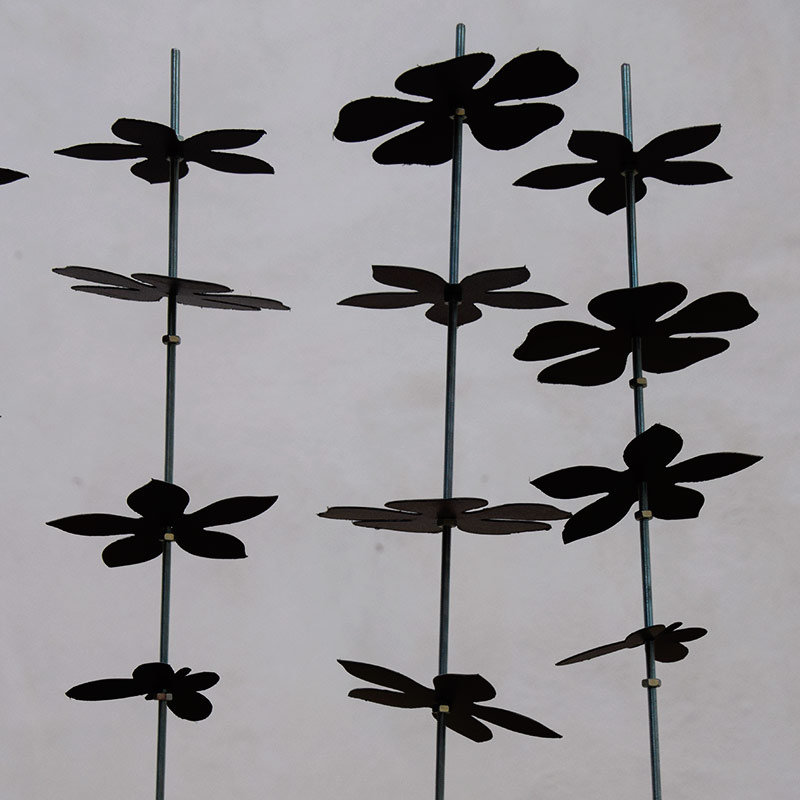 Asthénie (BO) par Zandrine C