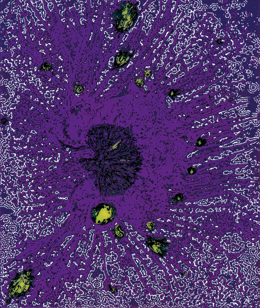 Cartographie d'une Terre Lointaine - Ambiances par Zandrine C