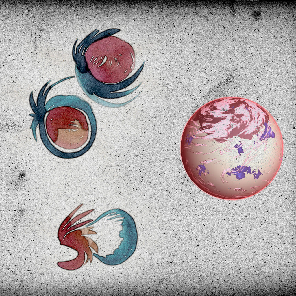 Salutations extrakquaaniennes par Zandrine C