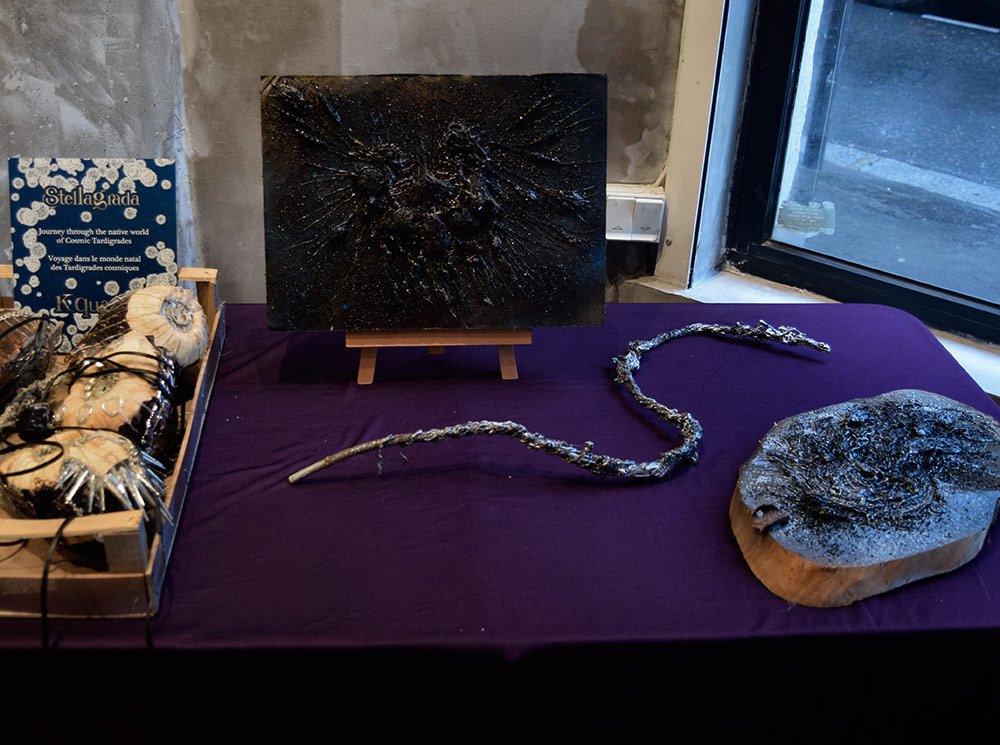 Fossiles par Zandrine C