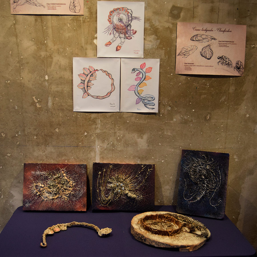 Fossiles par Zandrine C