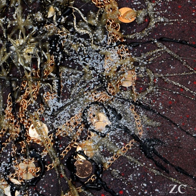 Fossile 1 par Zandrine C