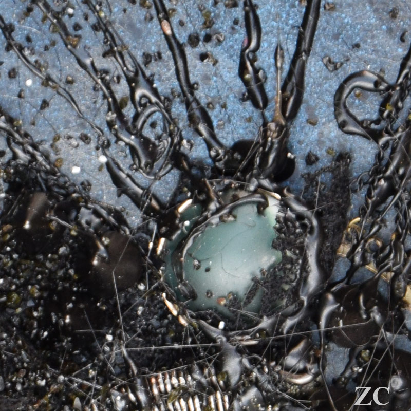 Fossile 3 par Zandrine C