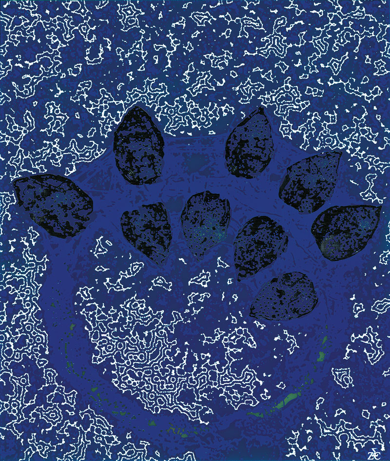 Exposition Écosystème de Kquaan