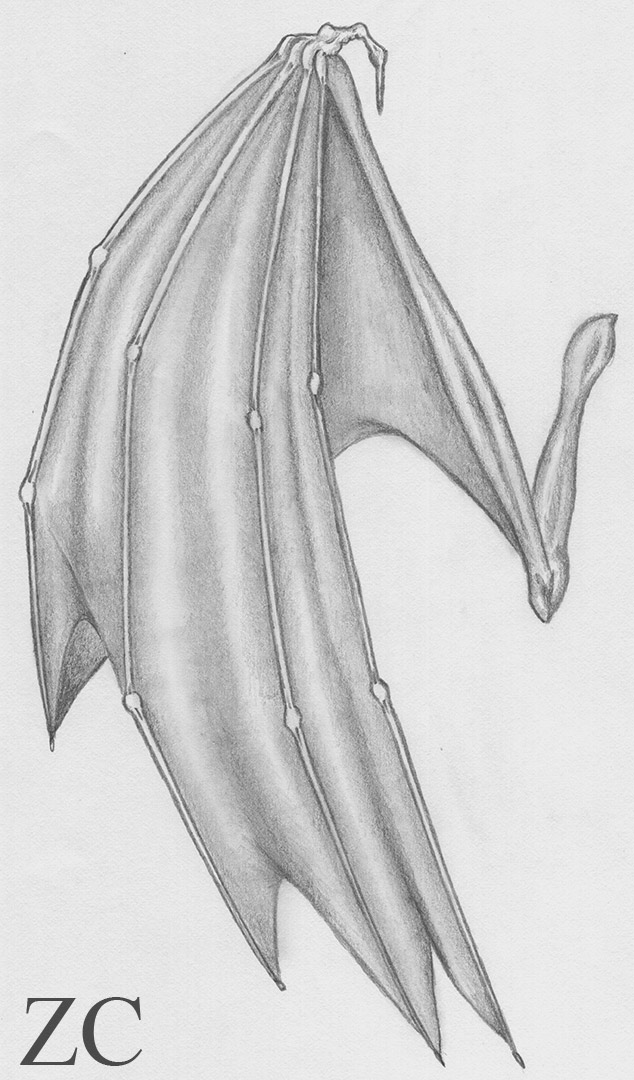 Exposition Crayonnés