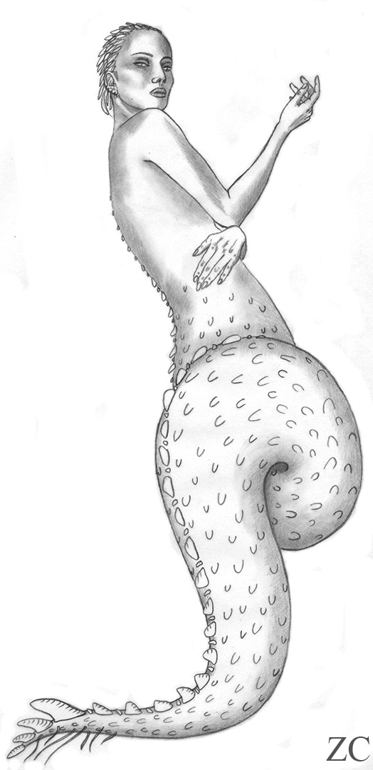 Croquis pour Winged watcher par Zandrine C