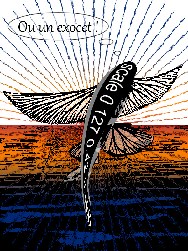 <img alt="" src="/user/pages/03.travaux/04.compositions-visuelles/tout/03.petit-scalare-25hbd-2023/04.jpg?name" /> par Zandrine C