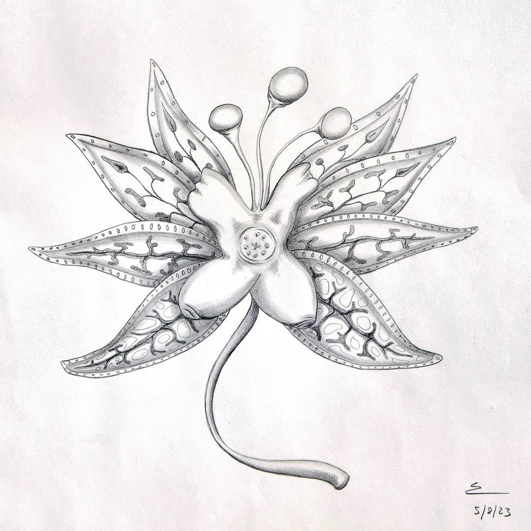 <img title="Kquaan " alt="" src="/user/pages/03.travaux/04.compositions-visuelles/tout/04.especes-kquaaniennes-2022/Phyllopsshamalle-crayon-feuilles-Zandrine-c.jpg?name" /> par Zandrine C