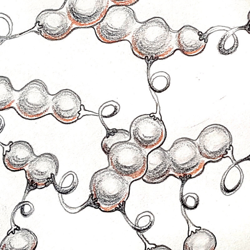 <img title="Pisavolans" alt="" src="/user/pages/03.travaux/04.compositions-visuelles/tout/04.especes-kquaaniennes-2022/Pisavolans-crayon-pois-Zandrine-C-01.jpg?name" /> par Zandrine C