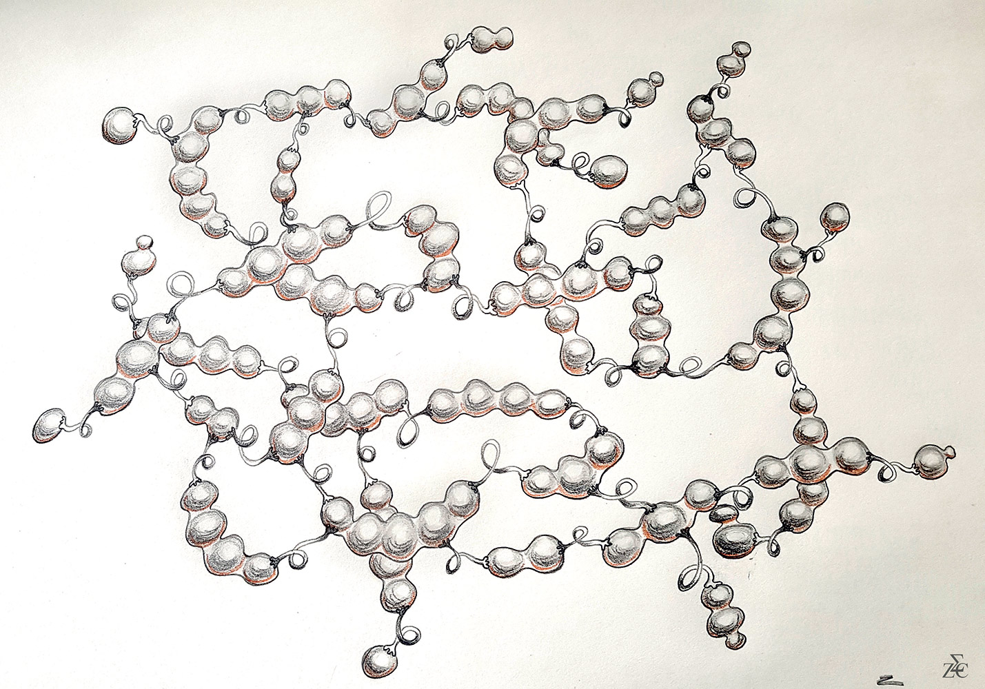 <img title="Pisavolans" alt="" src="/user/pages/03.travaux/04.compositions-visuelles/tout/05.especes-kquaaniennes-2022/Pisavolans-crayon-pois-Zandrine-C.jpg?name" /> par Zandrine C
