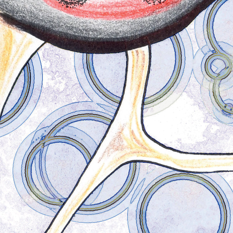 <img title="Kquabulle" alt="" src="/user/pages/03.travaux/04.compositions-visuelles/tout/05.especes-kquaaniennes-2022/crayon-creature-bulles-Zandrine-C-03.jpg?name" /> par Zandrine C