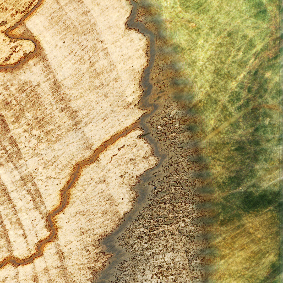 <img alt="" src="/user/pages/03.travaux/04.compositions-visuelles/tout/12.topographie-dune-ile-2014/tranche-totpographie-2014-ZC-detail-04.jpg?name" /> par Zandrine C