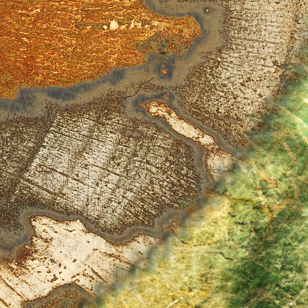 <img alt="" src="/user/pages/03.travaux/04.compositions-visuelles/tout/12.topographie-dune-ile-2014/tranche-totpographie-2014-ZC-detail-05.jpg?name" /> par Zandrine C