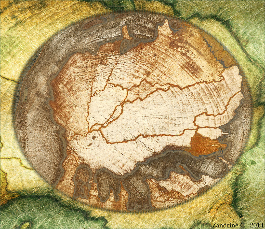 <img alt="" src="/user/pages/03.travaux/04.compositions-visuelles/tout/12.topographie-dune-ile-2014/tranche-totpographie-2014-ZC.jpg?name" /> par Zandrine C