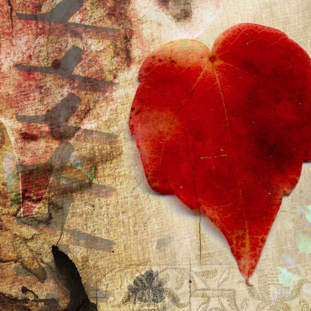 <img alt="" src="/user/pages/03.travaux/04.compositions-visuelles/tout/13.contree-du-lierre-rouge-2013/Contree-du-lierre-rouge-2013-zandrine-c-details-01.jpg?name" /> par Zandrine C