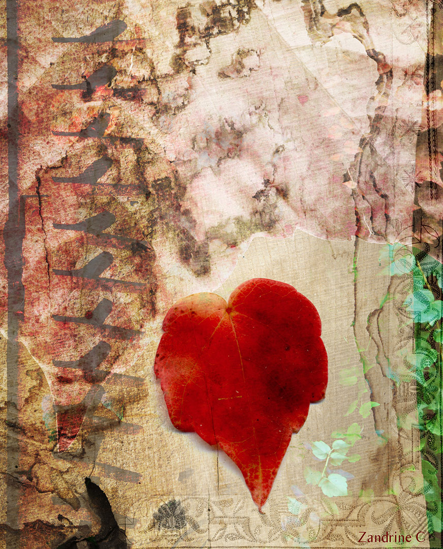 <img alt="" src="/user/pages/03.travaux/04.compositions-visuelles/tout/14.contree-du-lierre-rouge-2013/1-Contree-du-lierre-rouge-2013-zandrine-c-volet.jpg?name" /> par Zandrine C