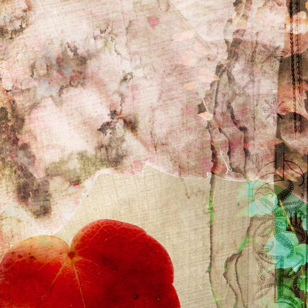 <img alt="" src="/user/pages/03.travaux/04.compositions-visuelles/tout/14.contree-du-lierre-rouge-2013/Contree-du-lierre-rouge-2013-zandrine-c-details-02.jpg?name" /> par Zandrine C