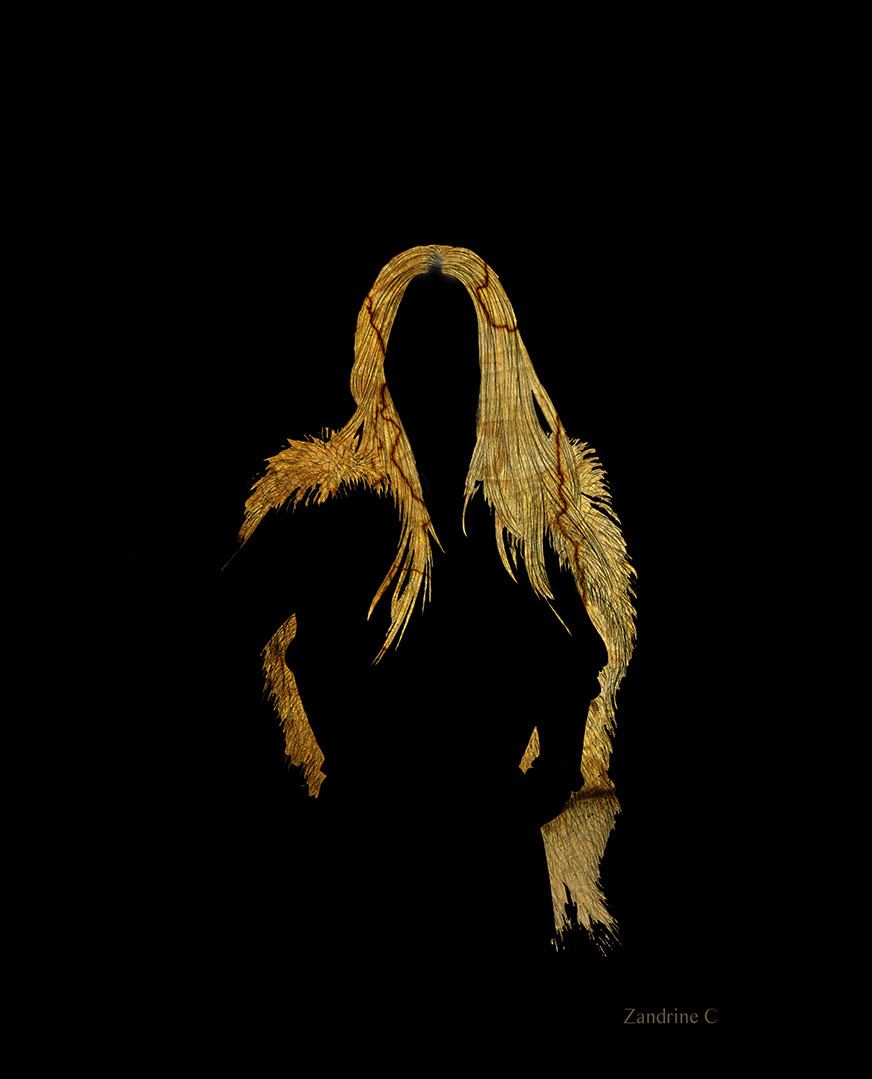 <img alt="" src="/user/pages/03.travaux/04.compositions-visuelles/tout/14.portrait-dune-jeune-femme-en-armure-2009/Portrait-jeune-femme-en-armure-2009-Variante-NB1-zandrine-c-volet.jpg?name" /> par Zandrine C