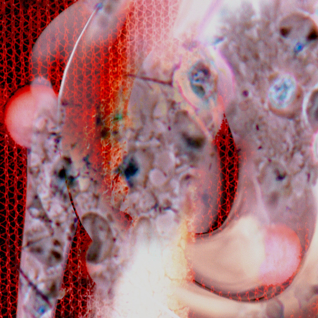 <img alt="" src="/user/pages/03.travaux/04.compositions-visuelles/tout/15.ecoute-2013/Ecoute-zandrine-c-detail-1.jpg?name" /> par Zandrine C