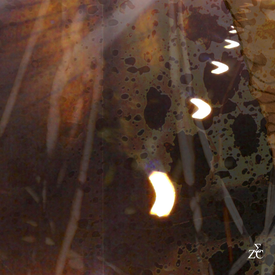 <img alt="" src="/user/pages/03.travaux/04.compositions-visuelles/tout/16.thunder-express-2013/Thunder-express-2013-Zandrine-C-details-route.jpg?name" /> par Zandrine C