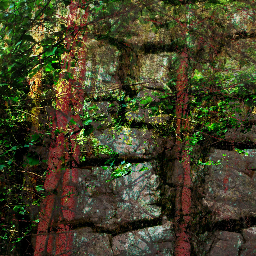 <img alt="" src="/user/pages/03.travaux/04.compositions-visuelles/tout/17.dyptique-forestier-2009/Dyptique-foret-zandrine-c-details-assise-1.jpg?name" /> par Zandrine C