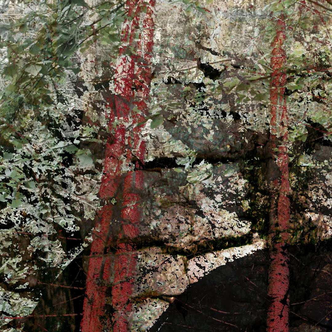 <img alt="" src="/user/pages/03.travaux/04.compositions-visuelles/tout/17.dyptique-forestier-2009/Dyptique-foret-zandrine-c-details-beton-1.jpg?name" /> par Zandrine C