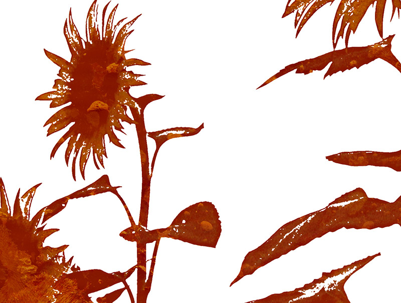 <img alt="" src="/user/pages/03.travaux/04.compositions-visuelles/tout/20.tournesols-2007/tournesols-03-2007-detail.jpg?name" /> par Zandrine C